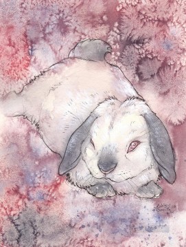 El conejo blanco Pinturas al óleo